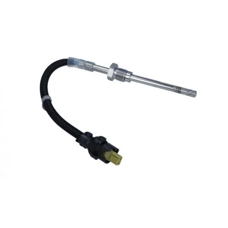 motone-15065839
