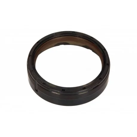 motone-15468781