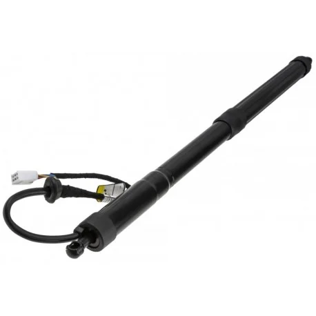 motone-15664999