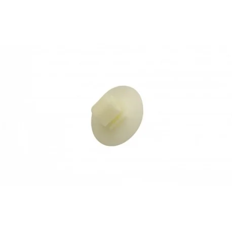 motone-15697685