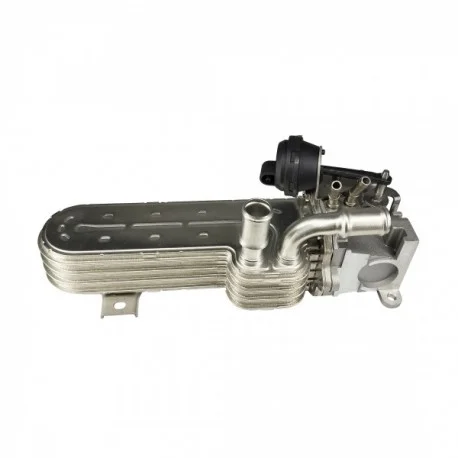 motone-15699169