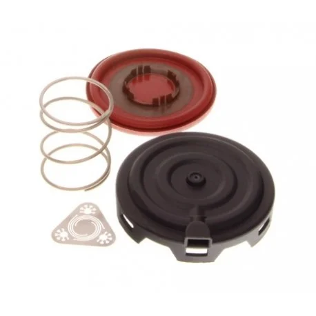 motone-15758204