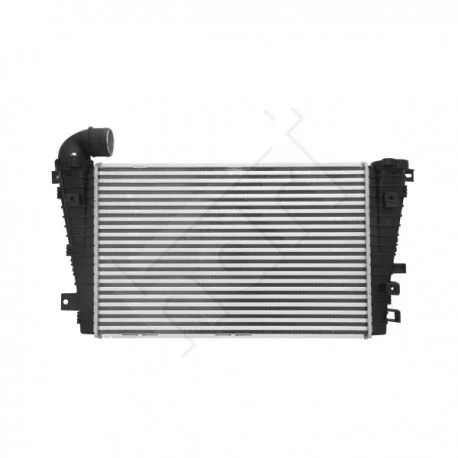 motone-15827347