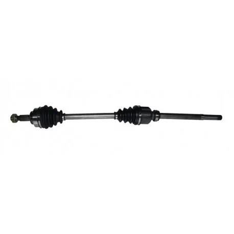 motone-15828298