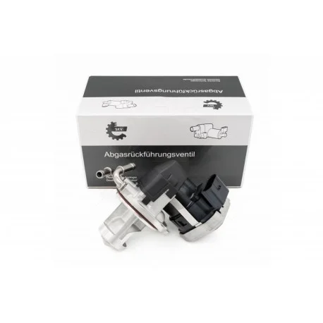 motone-15891836