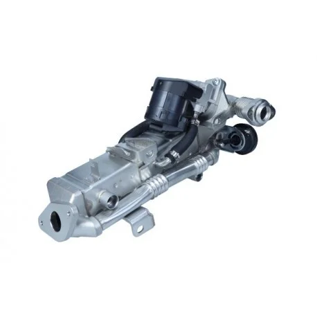 motone-24998281