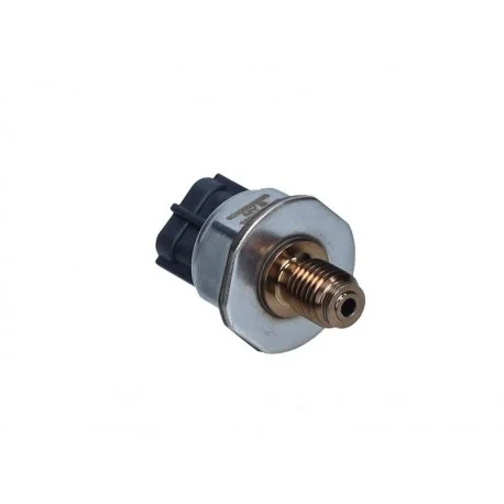 motone-25015713
