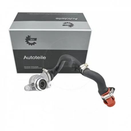 motone-25173265