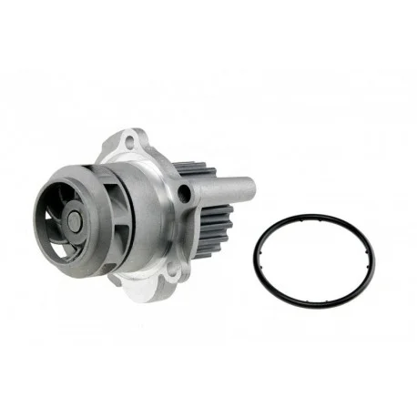 motone-25224906