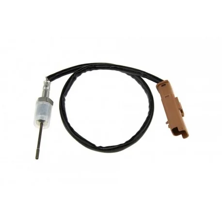 motone-25341271