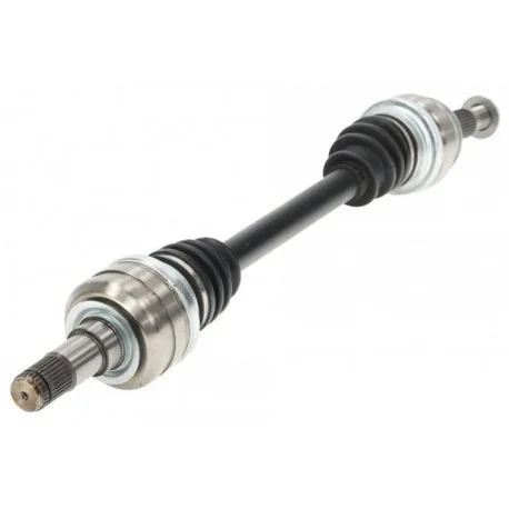 motone-25420456