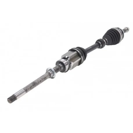 motone-25420680