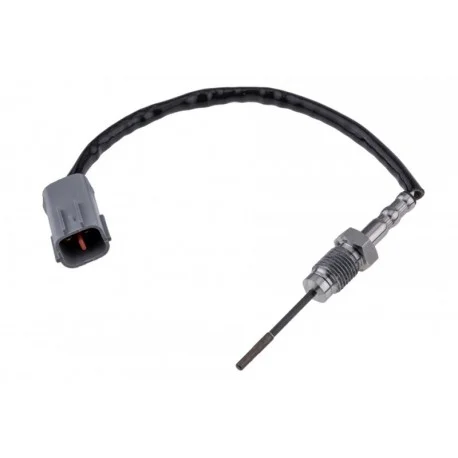 motone-25546836