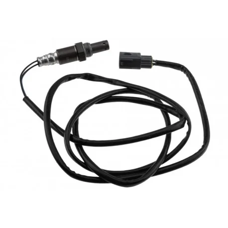 motone-25549417