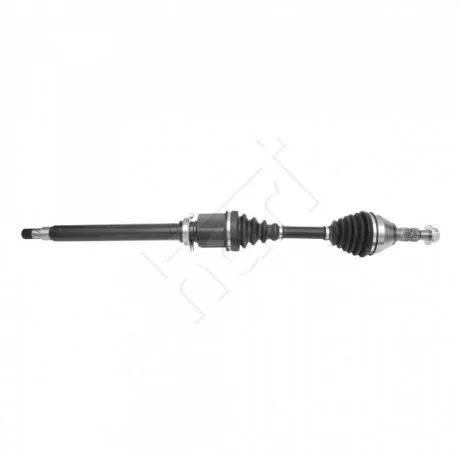 motone-25657073