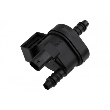 motone-25681613