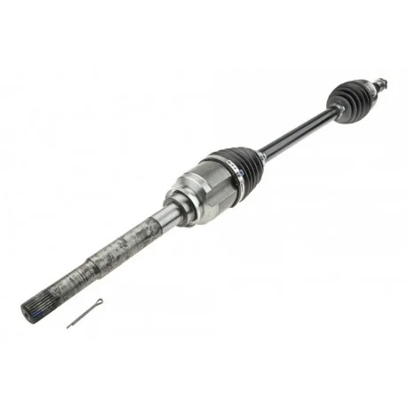 motone-25782303