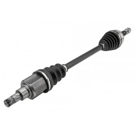 motone-25805261