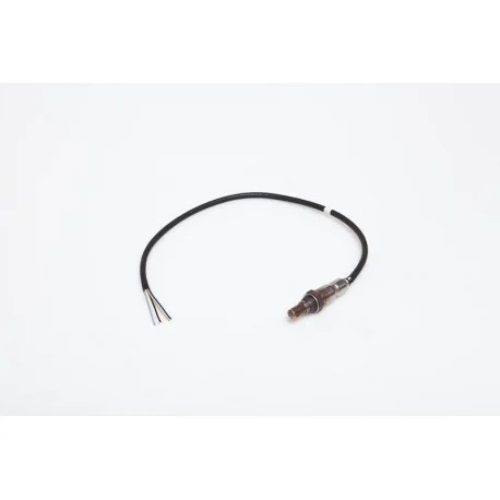 motone-35032981