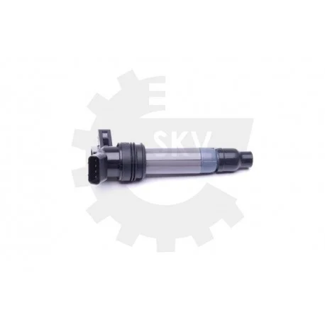 motone-35245370