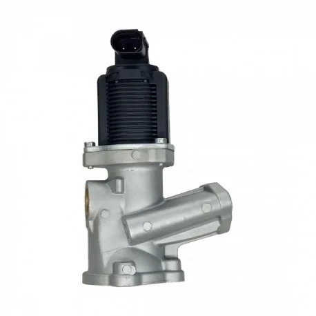 motone-35375369