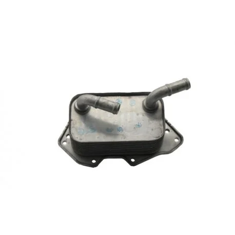 motone-35385433