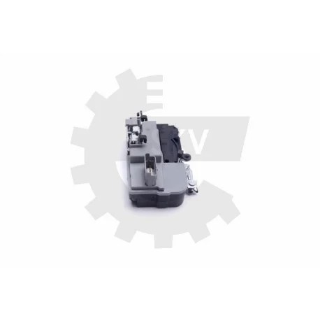 motone-35452541