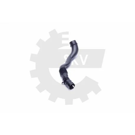 motone-35453276
