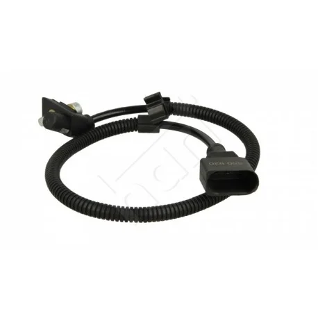 motone-35544979