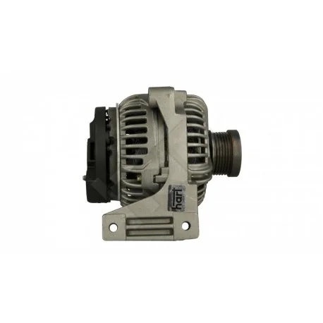 motone-35615998