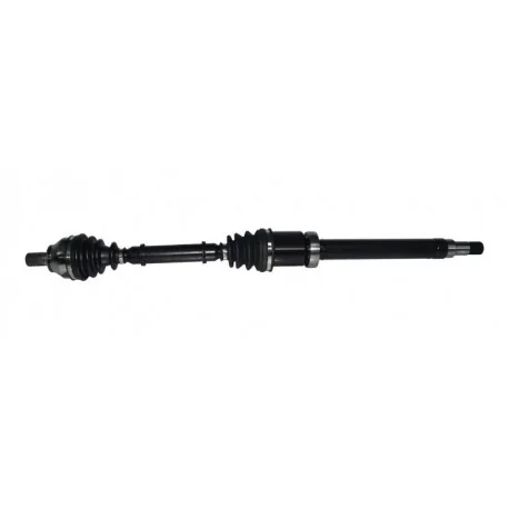 motone-35620271
