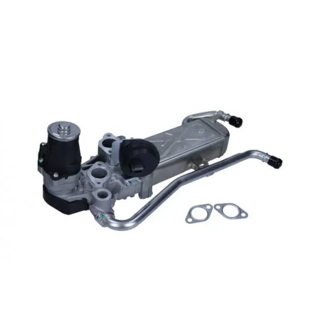 motone-35641866
