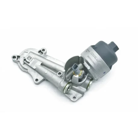motone-35749570