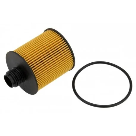 motone-35761556