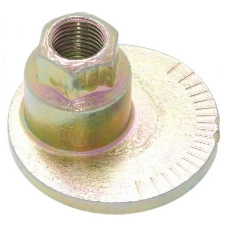 motone-35769975