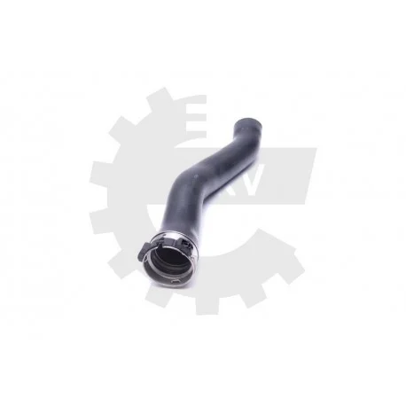 motone-35881887