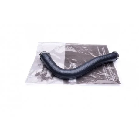 motone-35937235