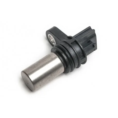 motone-35994381