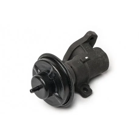 motone-36079817