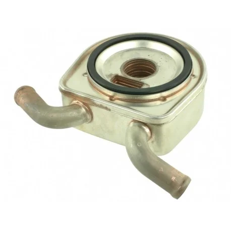 motone-36184129