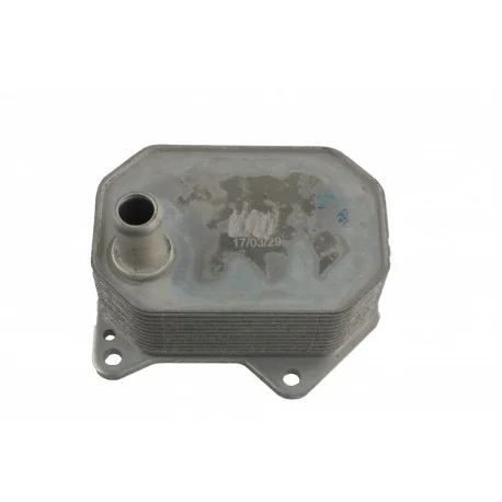 motone-36184305