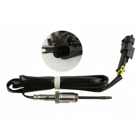 motone-36208366