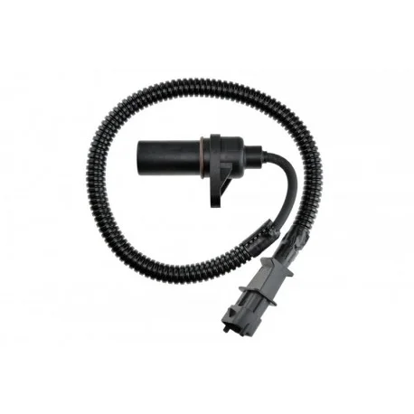 motone4991985