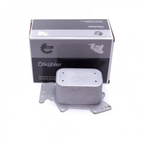 motone5538136