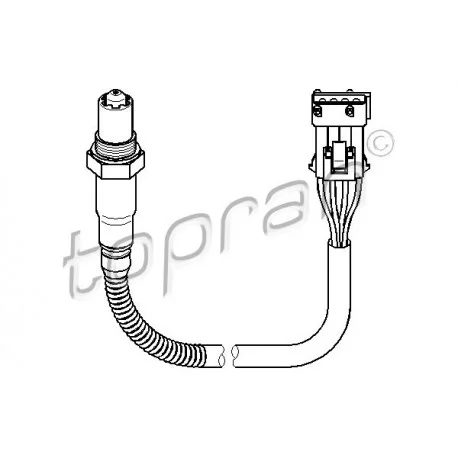 motone5604009