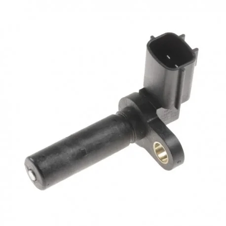 motone6022297