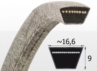 parkgep5484392